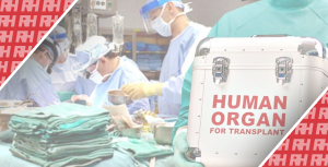 С начала года в Украине осуществлено более 205 трансплантаций - Новости RH