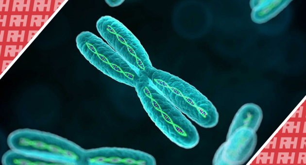 Аналіз асоціацій між хромосомними аномаліями та фетальними ультразвуковими м’якими маркерами на основі 15263 плодів - Статті RH