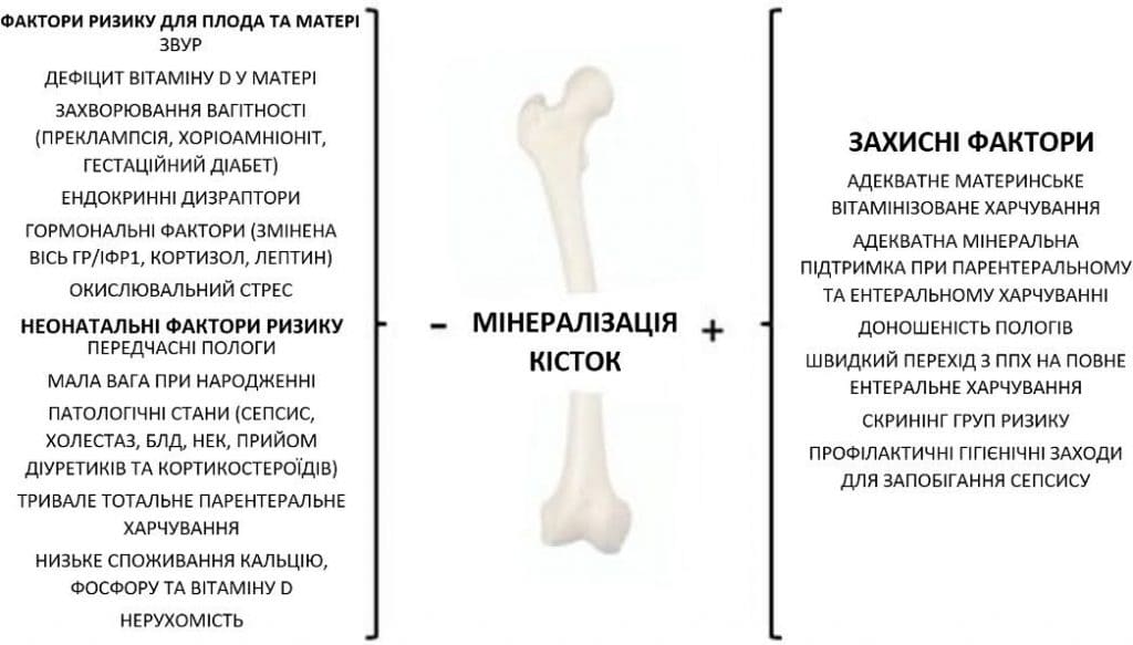 Здоров’я кісток пренатального та - Малюнок1