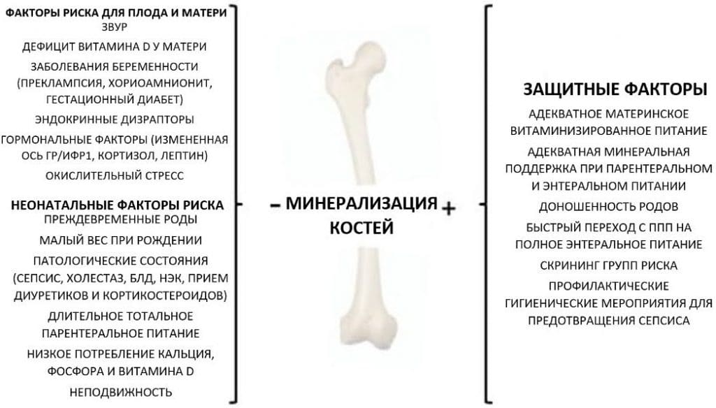 Здоровье костей пренатального и - Рисунок1