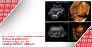 Зв’язок між хромосомними аномаліями та показниками скринінгу пренатальної діагностики у другому триместрі вагітності - Новини RH